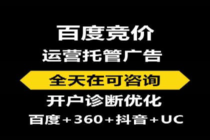SEM主管的角色与职责：成功案例解析